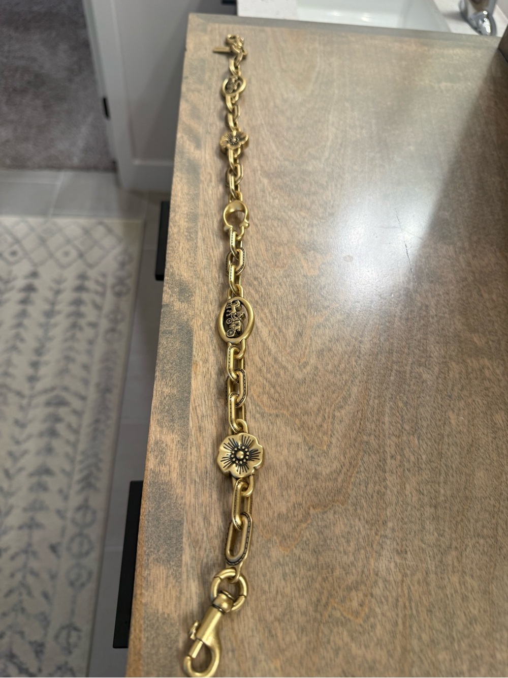 Coach bag strap